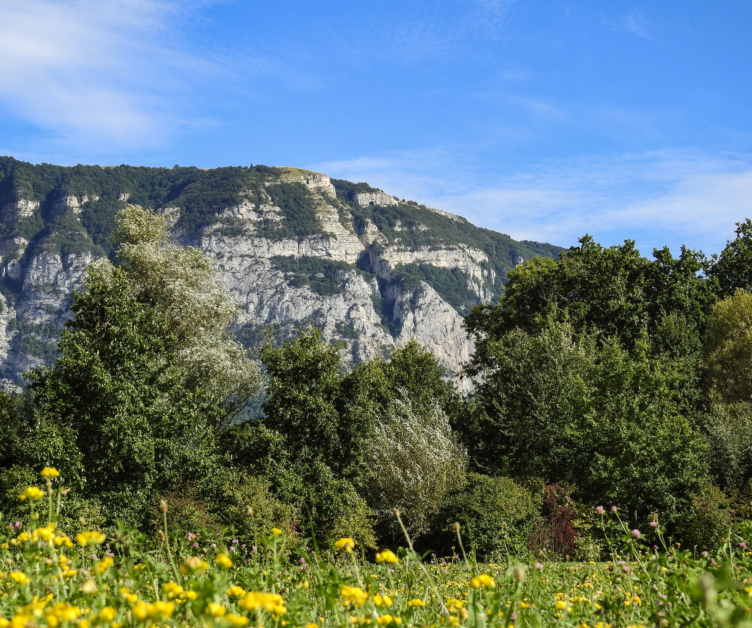 saleve