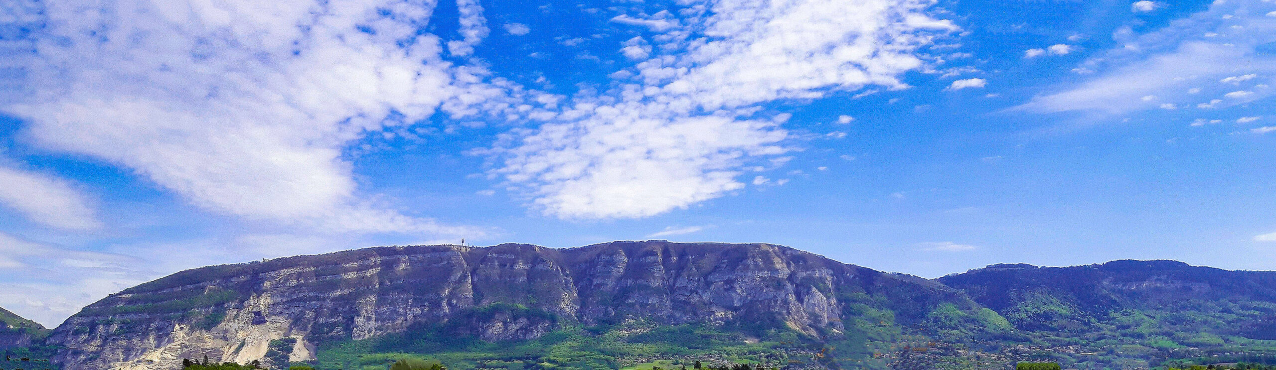 salpano10
